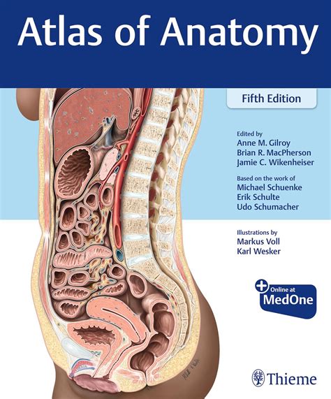 Atlas of Anatomy Thieme Anatomy Doc