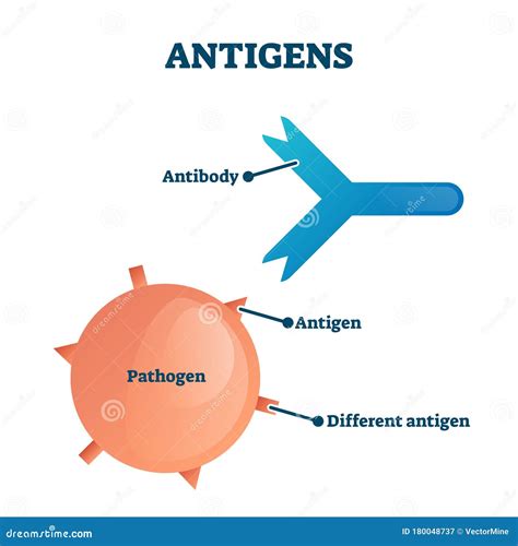 Atlas of Antigens PDF