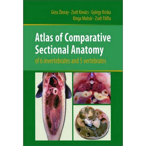 Atlas of Comparative Sectional Anatomy of 6 invertebrates and 5 vertebrates 1st Edition PDF