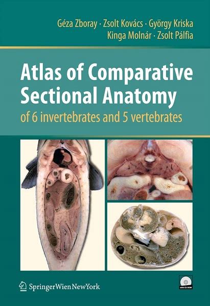 Atlas of Comparative Sectional Anatomy of 6 invertebrates and 5 vertebrates 1st Edition Kindle Editon