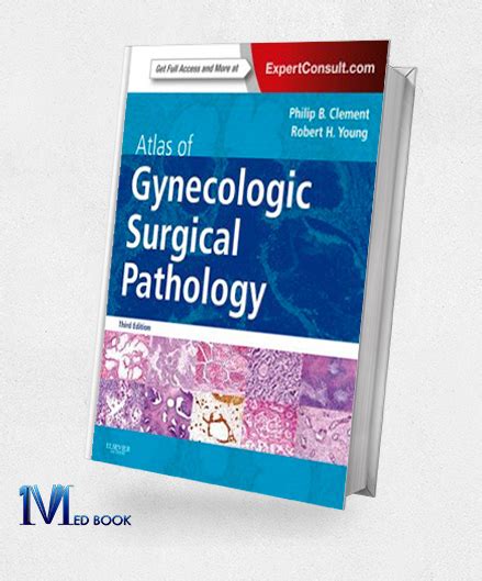 Atlas of Gynecologic Surgical Pathology Expert Consult : Online and Print 3rd Edition Epub