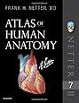 Atlas of Human Anatomy 7e Netter Basic Science Reader