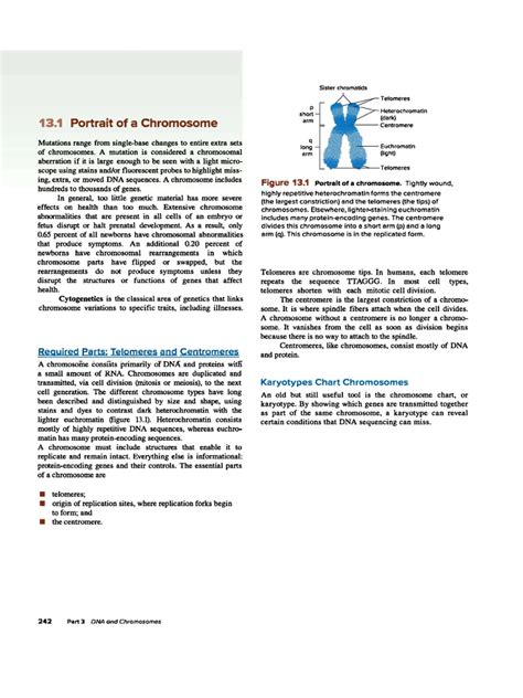 Atlas of Human Constitutional Chromosomes in Health and Disease Reader