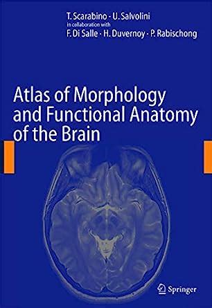 Atlas of Morphology and Functional Anatomy of the Brain Kindle Editon