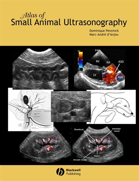 Atlas of Small Animal Ultrasonography Kindle Editon