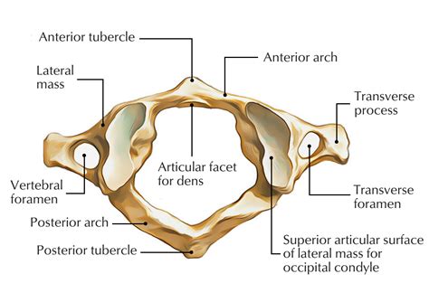 Atlas of Surface Structures 1a & Kindle Editon