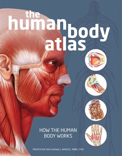 Atlas of the Human Body Doc