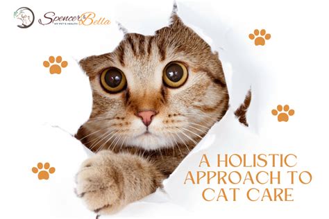 Atomic Kitten: The Purrfect Guide to Cat Care