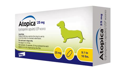 Atopica for Dogs: A Comprehensive Guide to Treatment and Management