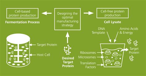 Atria LPL: The Future of Cell-Free Protein Production