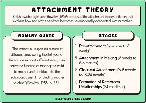 Attachment Theory: