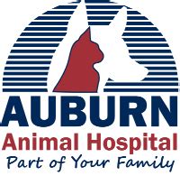 Auburn Animal Hospital Auburn MA: 5-Star Care for Your Furry Friends