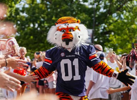 Auburn Football Jerseys: A Comprehensive Guide to the Tigers' Gameday Attire