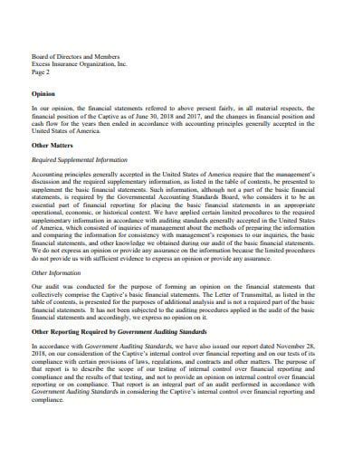 Audit Opinion Template