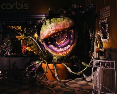 Audrey II: The Mystifying Plant from Little Shop of Horrors