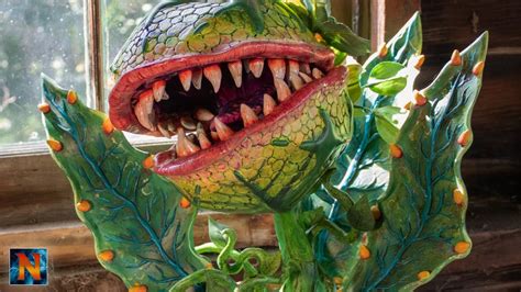 Audritwo: The Ultimate Guide to the Humanoid Plant from "Little Shop of Horrors"