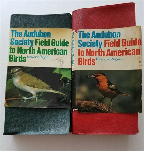 Audubon Society Field Guide American PDF