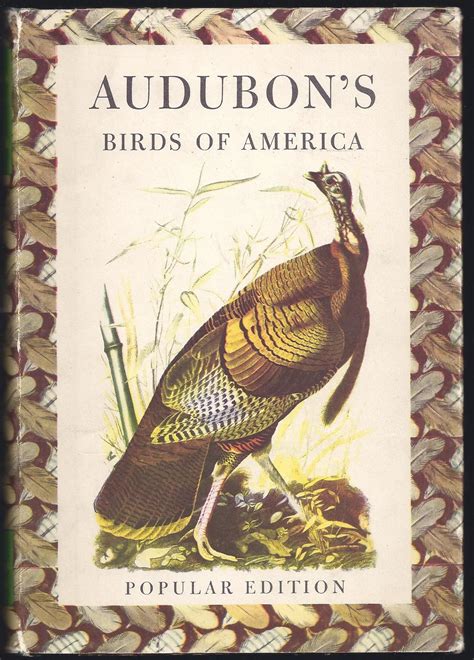 Audubon s Birds Of America Popular Edition PDF