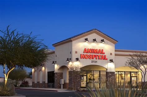 Augusta Ranch Animal Hospital: Your Trusted Partner for Exceptional Pet Care