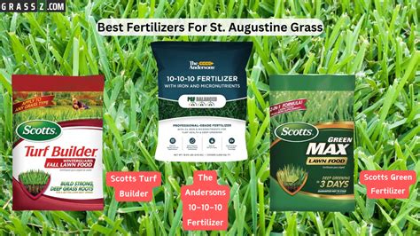 Augustine Grass Fertilizer: 7 Essential Tips