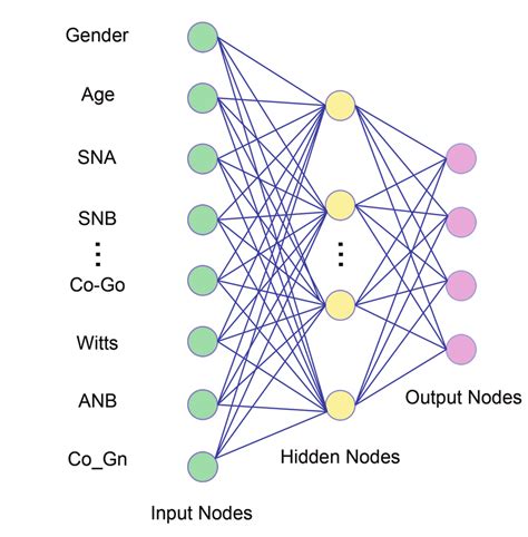 Aunn: Unlocking the Untapped Potential of Artificial Neural Networks