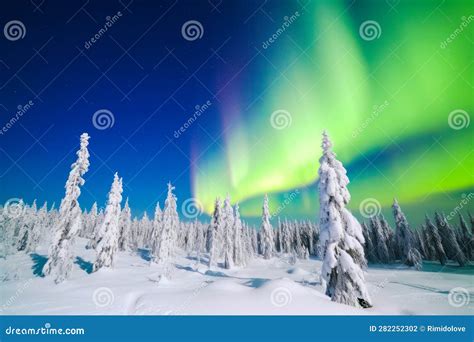 Aurora Frost: Nature's Enchanting Spectacle