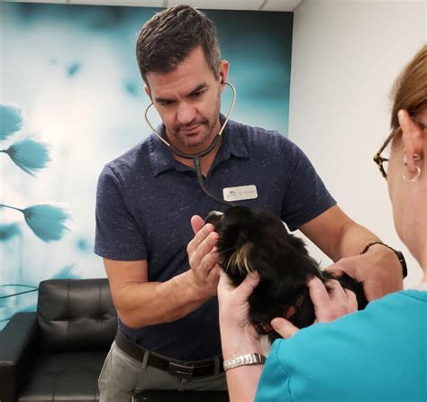 Austin Bluffs Animal Clinic: Your Pet's Haven of Health and Happiness