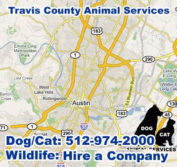 Austin Travis County Animal Services: The Ultimate Guide to Pet Ownership