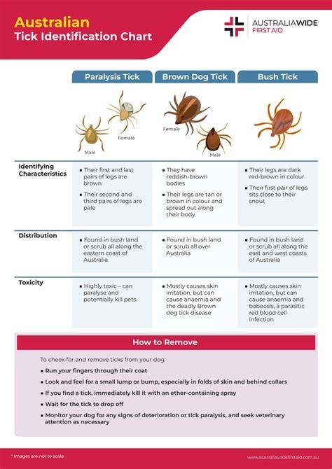 Australian Tick Identification Chart