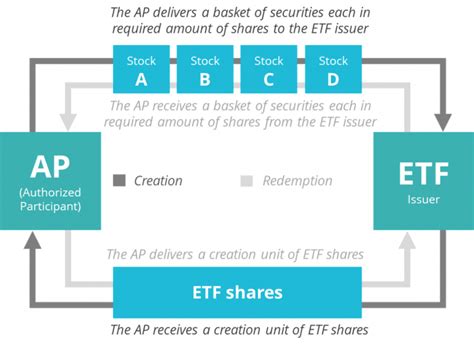 Authorised Participants: The Gatekeepers of ETF Creation and Redemption