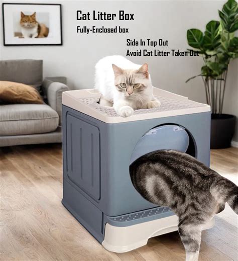 Automated Cat Litter Box: 15 Things You Never Knew