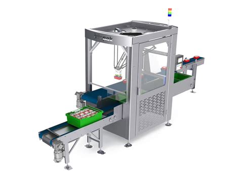 Automated Packing Machine: 10,000+ Ways to Pack Your Products Faster