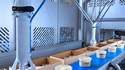 Automated Packing Machines: The Ultimate Guide to Efficiency and Precision