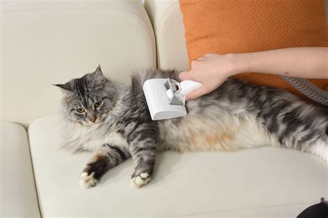 Automatic Air Spray for Cats: A Comprehensive Guide to Keeping Your Feline Friends Odor-Free