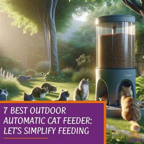 Automatic Cat Feeder for Outdoor Adventures: The Hunt 2025