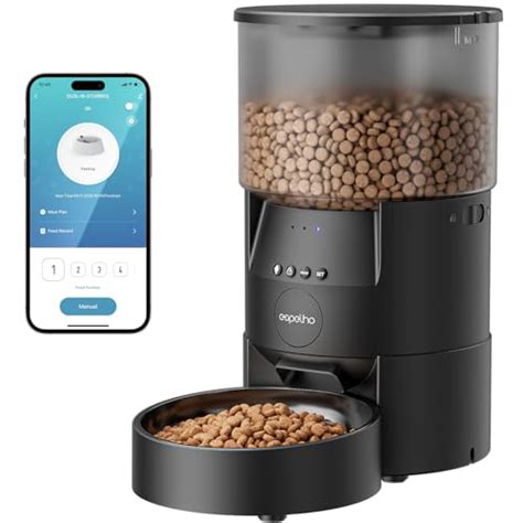 Automatic Cat Feeders: The Ultimate 2025 Solution for Reduced Stress