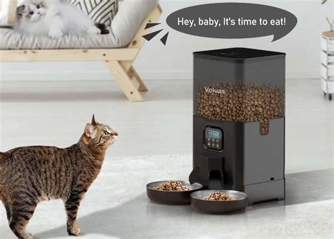 Automatic Cat Feeders in 2025: User Reviews and Testimonials