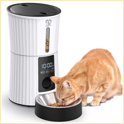 Automatic cat feeder for senior cats