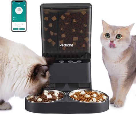 Automatic cat feeder with customizable schedules