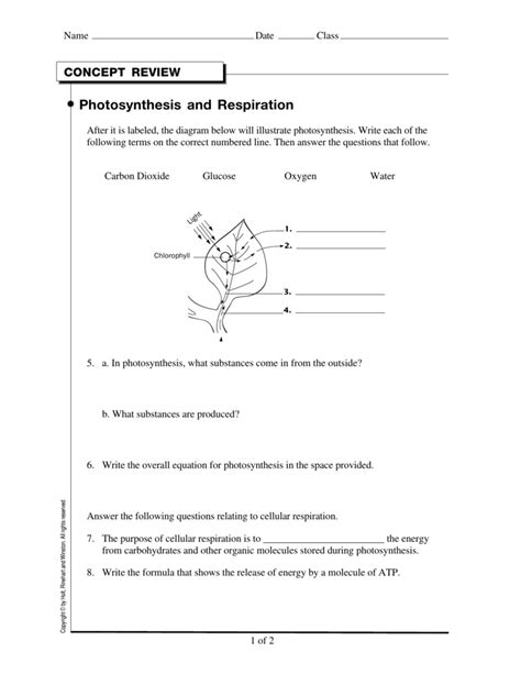 Automotive High School Living Environment Photosynthesis Answers Doc