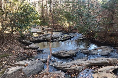 Autrey Mill Nature Preserve: A Haven for Nature Lovers and Outdoor Enthusiasts