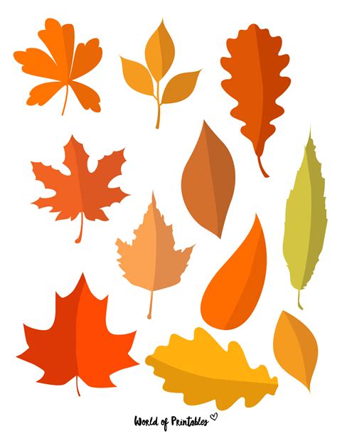 Autum Leaf Template