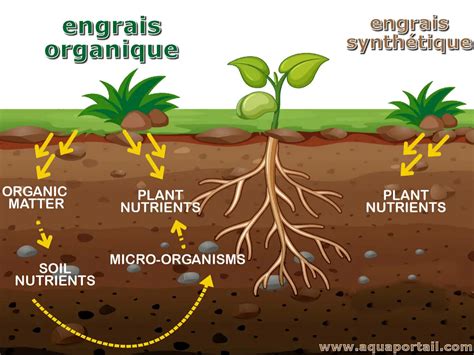 Avantages des engrais organiques granulés