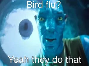 Avatar Meme Templates