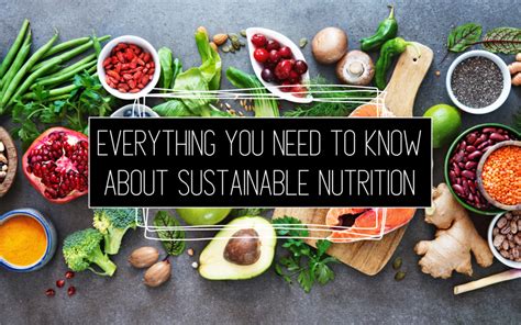 Avenaxo: The Future of Sustainable Nutrition and Beyond