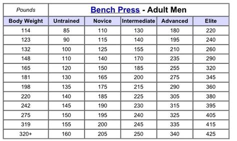 Average Bench Press Weights