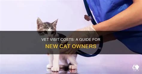 Average Cost for Cat Vet Visit: $120-$300 Per Year