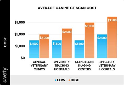 Average Cost of Canine X-Rays