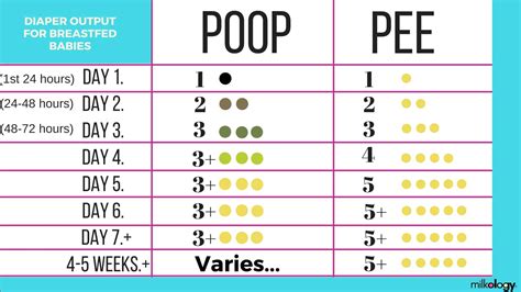 Average Frequency of Pooping