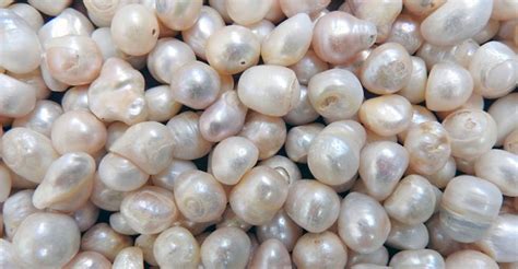 Average Pearl Prices: